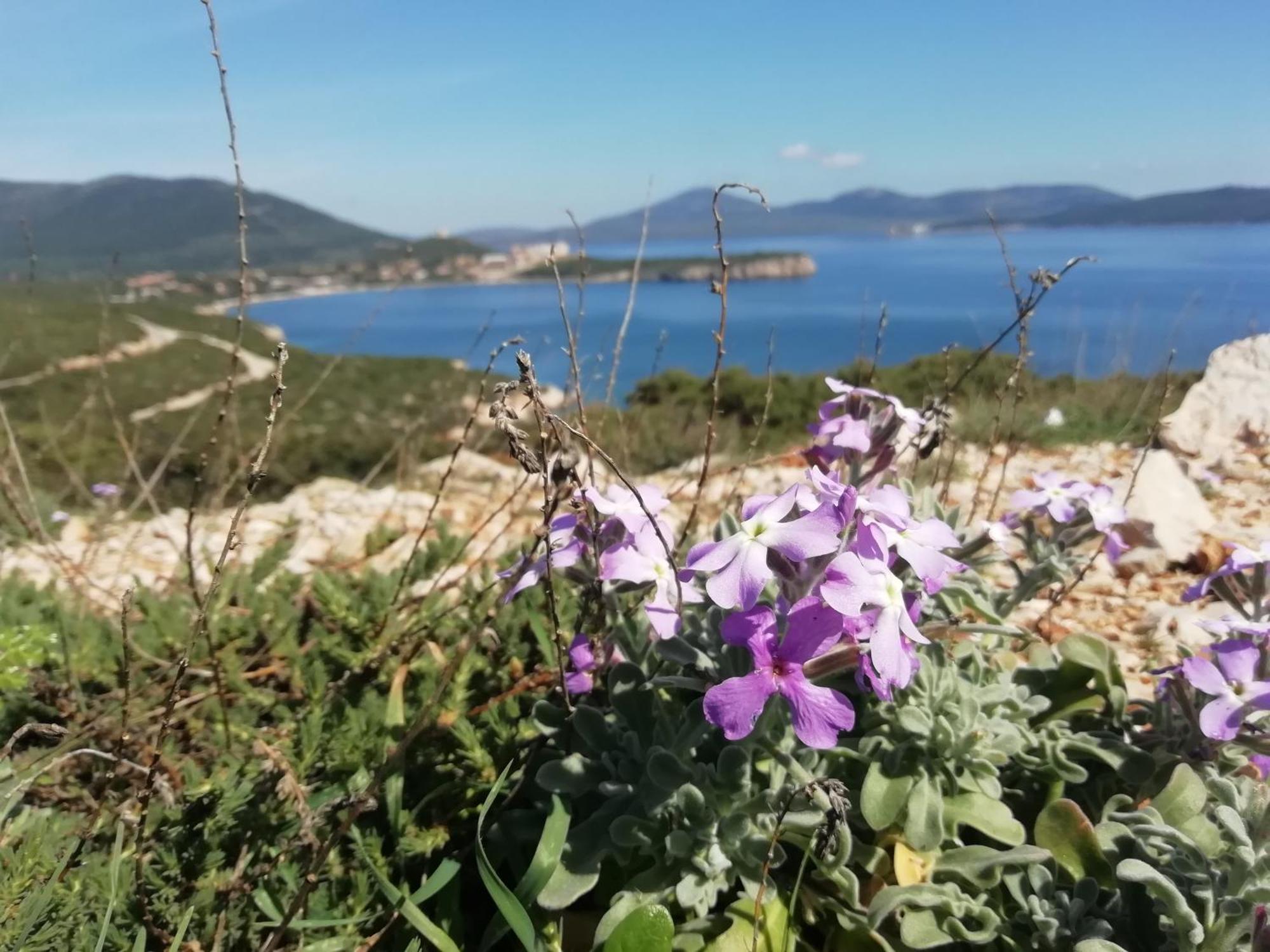 El Matorral Bed & Breakfast Alghero Exterior foto