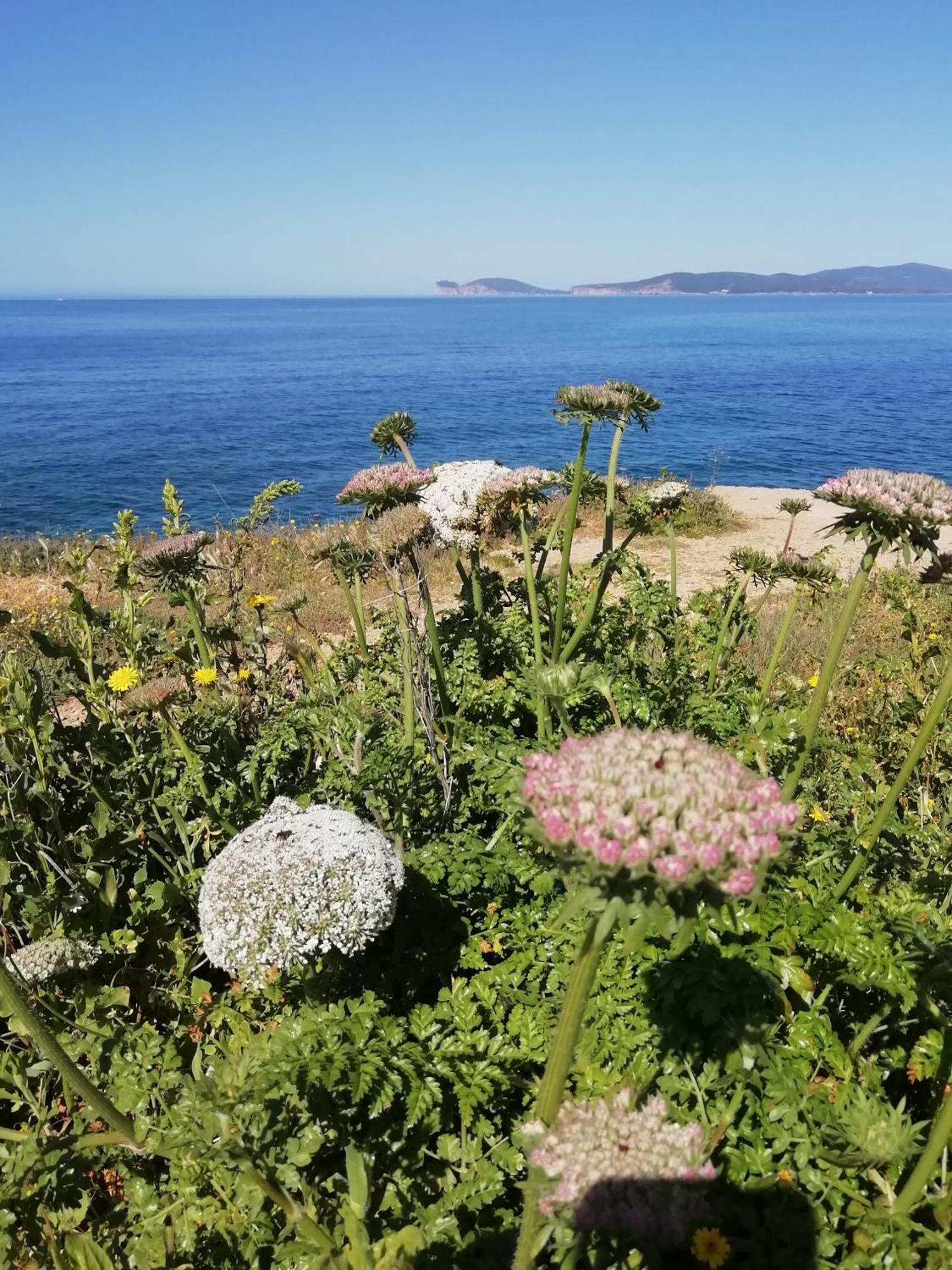 El Matorral Bed & Breakfast Alghero Exterior foto